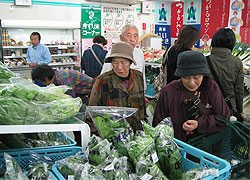 新鮮な野菜を品定めする買い物客